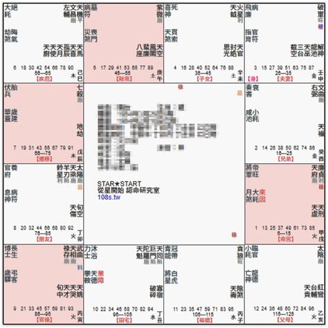 廉貞天府坐命|紫微命盤解析——天府星、廉貞星在辰、戌宮